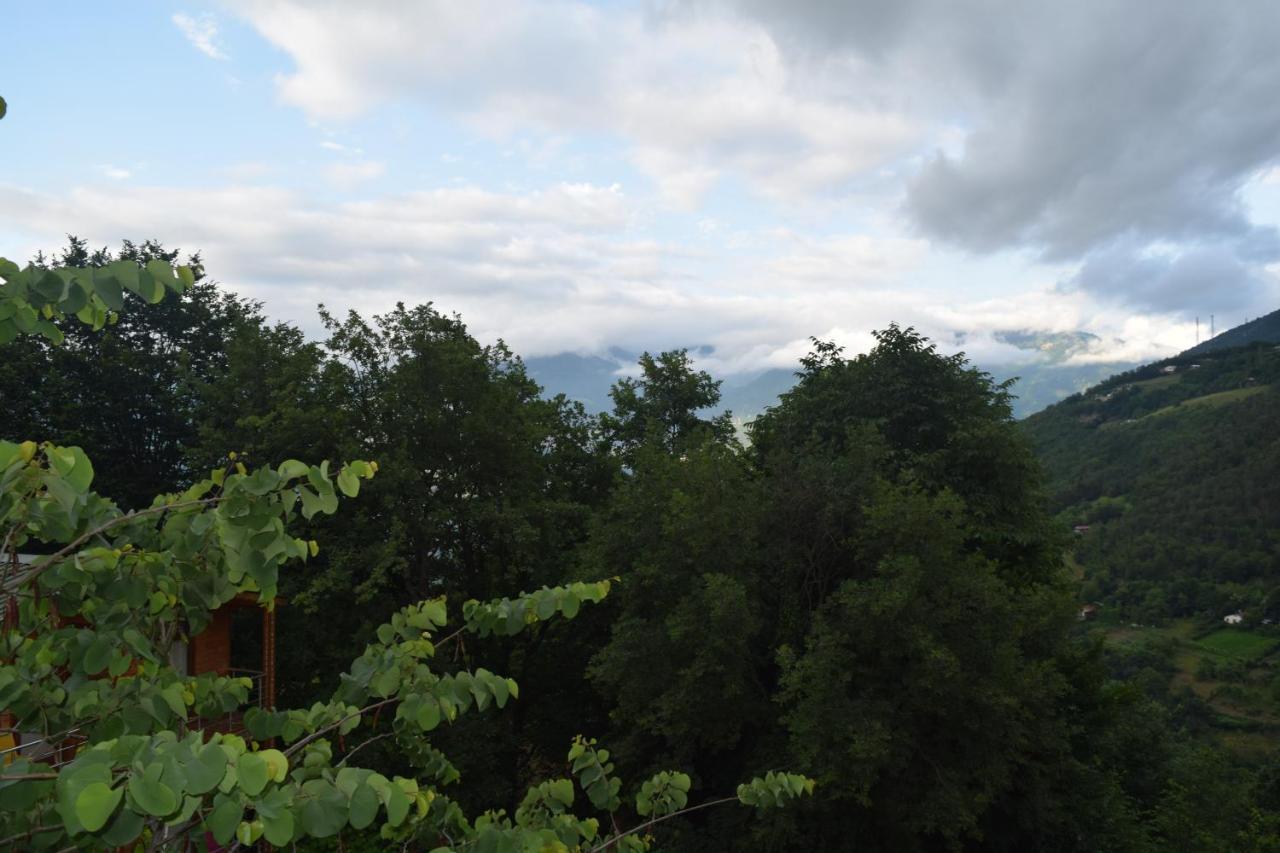 Mars Otel Artvin Exterior foto