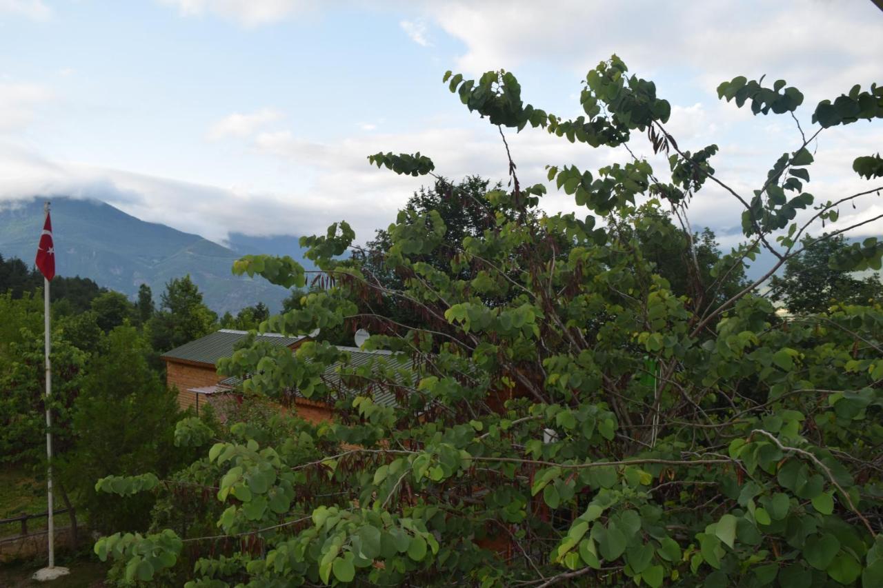Mars Otel Artvin Exterior foto