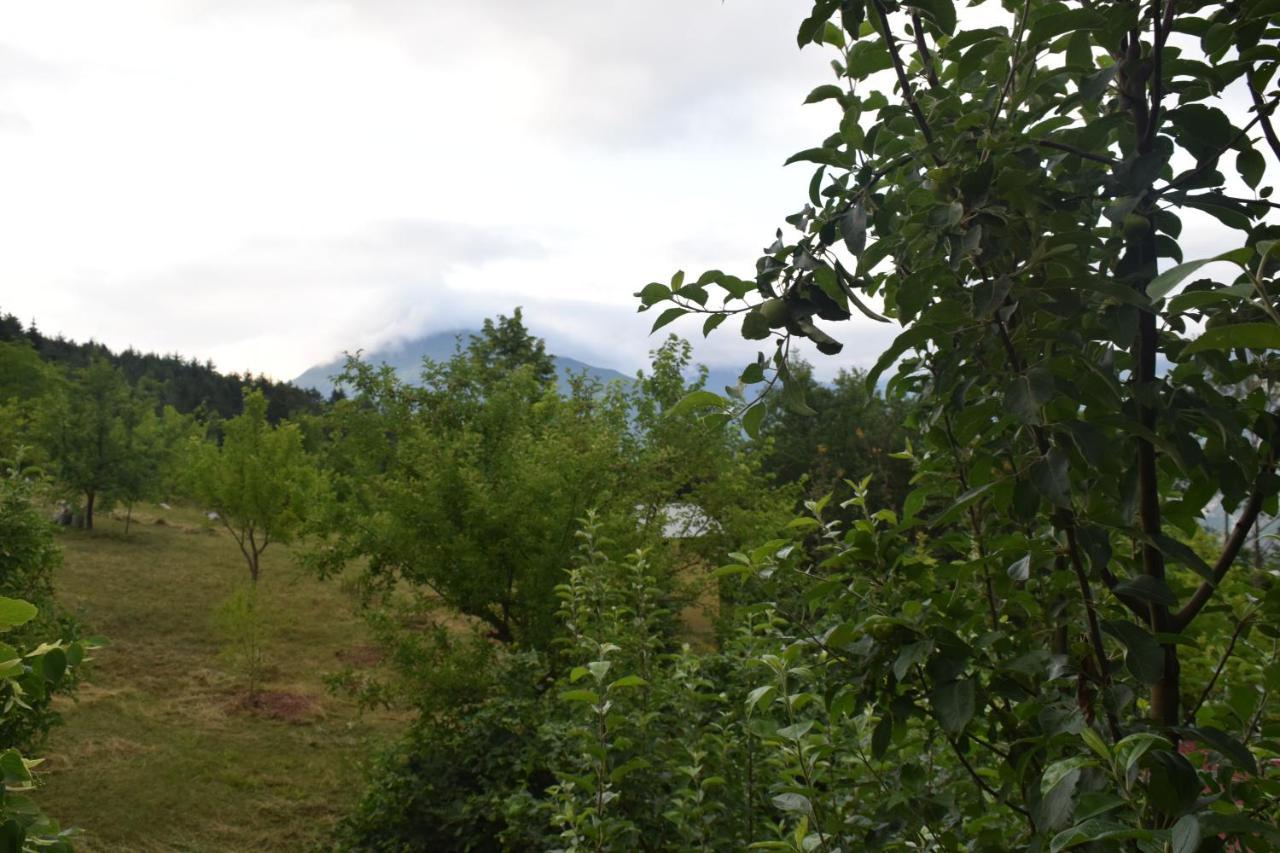Mars Otel Artvin Exterior foto