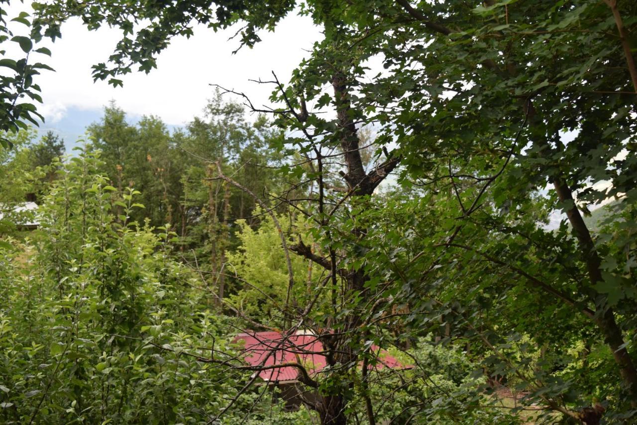 Mars Otel Artvin Exterior foto