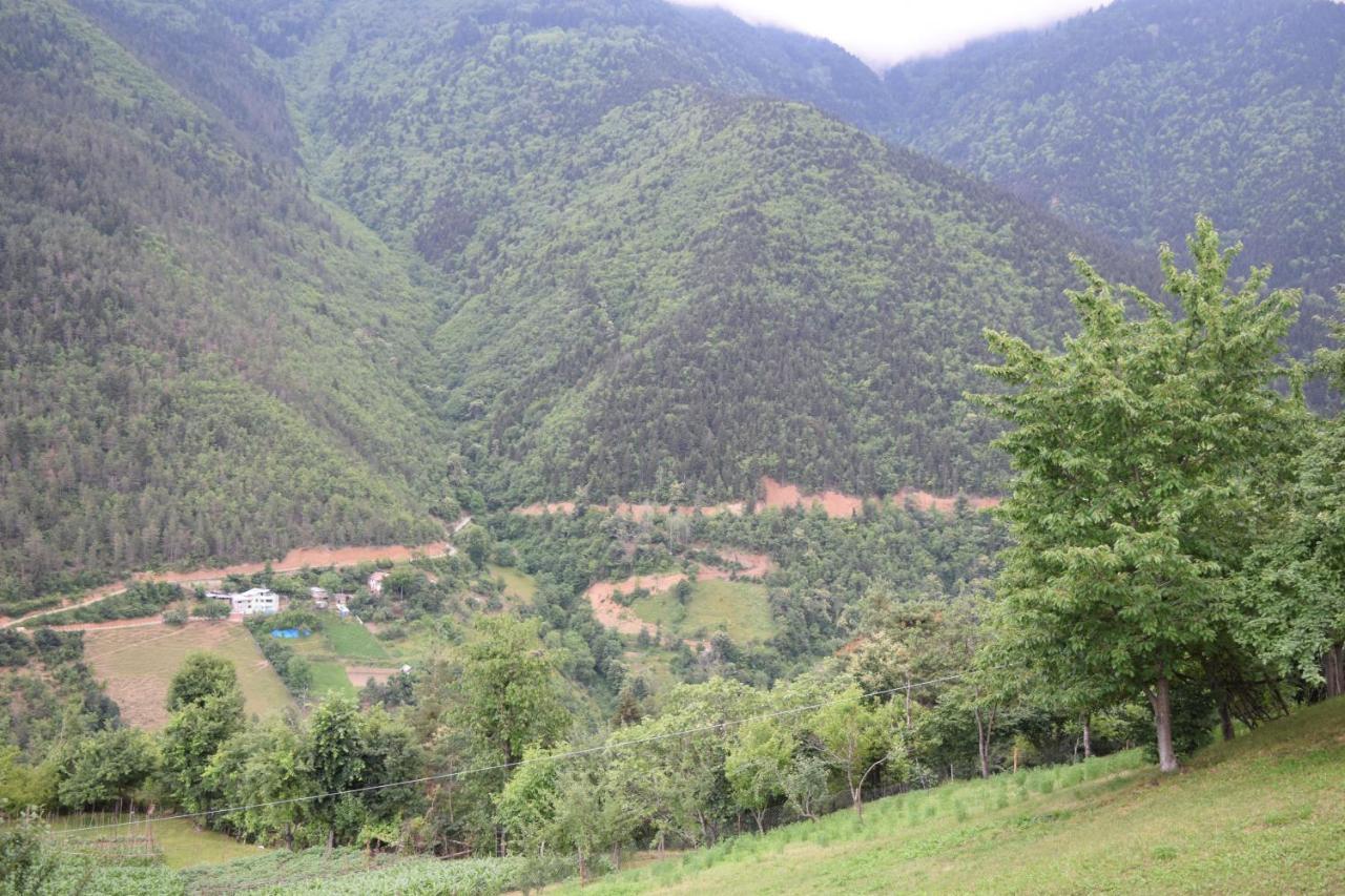 Mars Otel Artvin Exterior foto