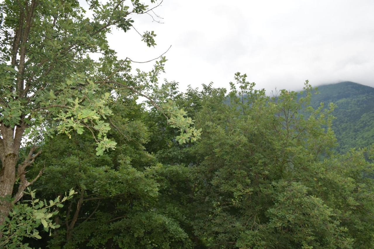 Mars Otel Artvin Exterior foto