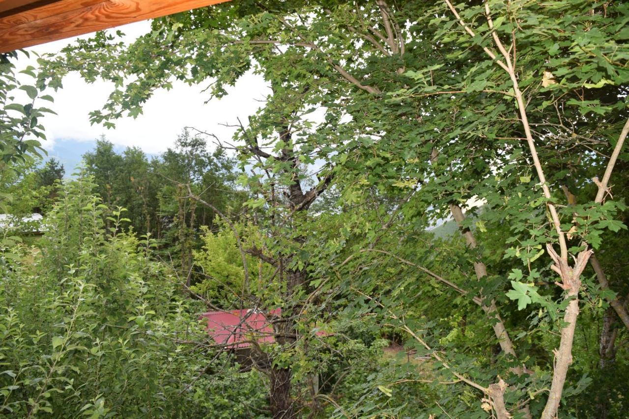 Mars Otel Artvin Exterior foto
